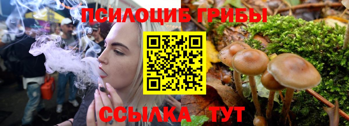 Галлюциногенные грибы мицелий  Вход с VPN  Кирово-Чепецк 